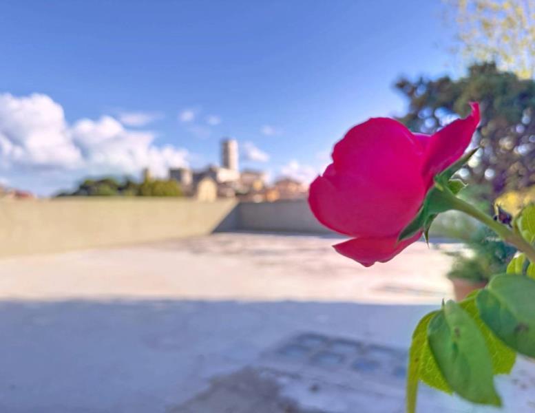 appartamento in vendita a Monterotondo in zona Cerqueto
