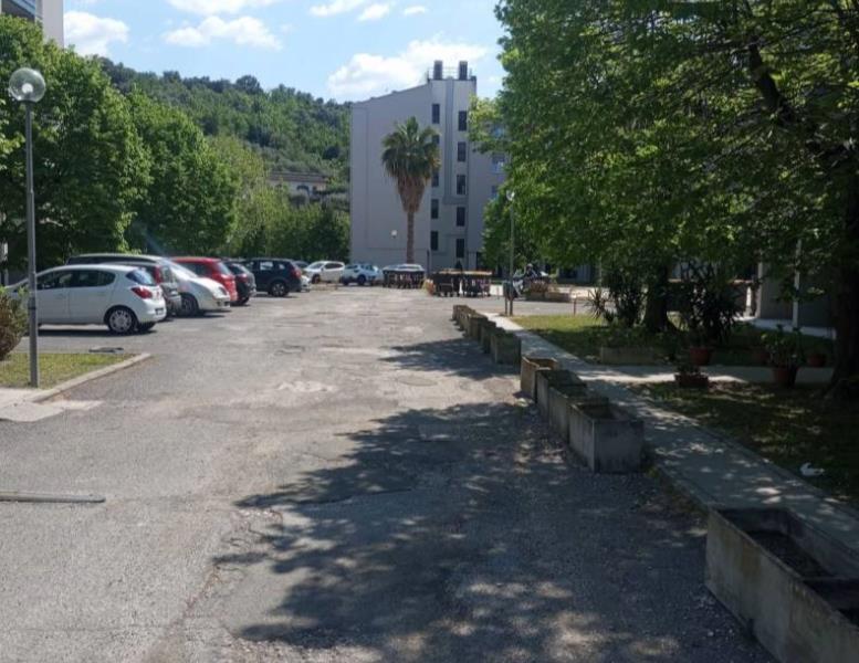 immagine annuncio 0 di 12