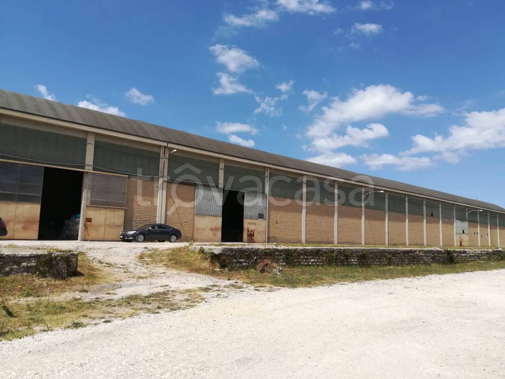 negozio in vendita a Monterotondo