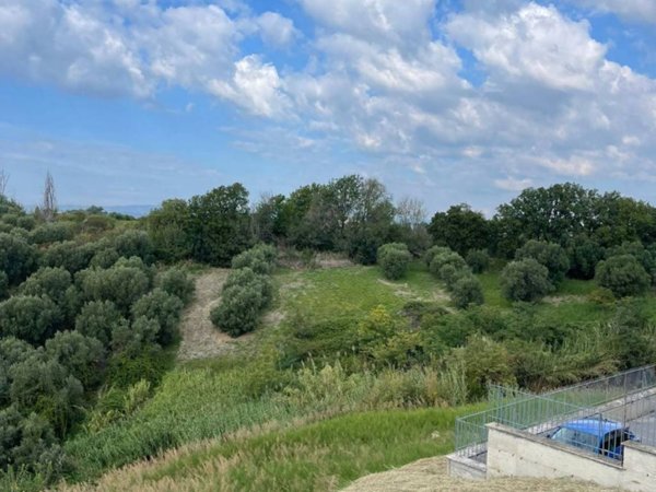 terreno agricolo in vendita a Monterotondo in zona Cerqueto