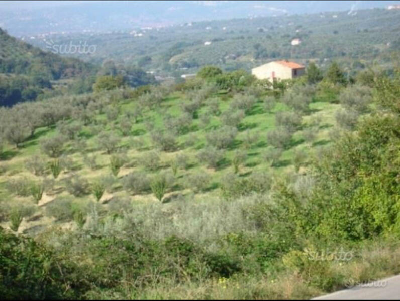 terreno agricolo in vendita a Montorio Romano
