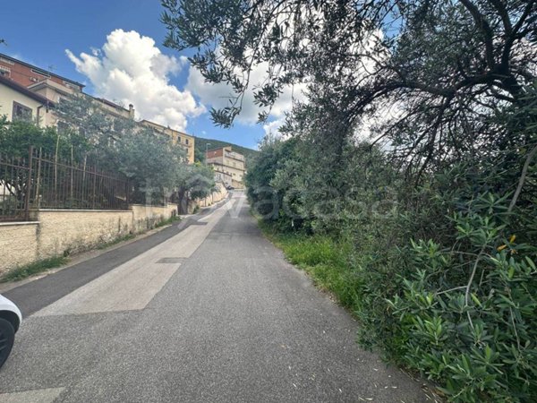 terreno agricolo in vendita a Moricone