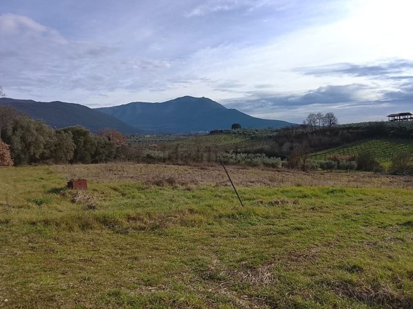 terreno agricolo in vendita a Moricone