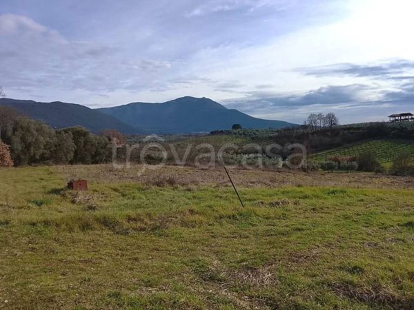 terreno agricolo in vendita a Moricone