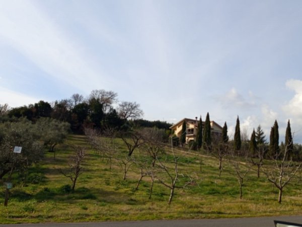 terreno in vendita a Moricone