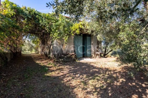 locale commerciale in vendita a Moricone