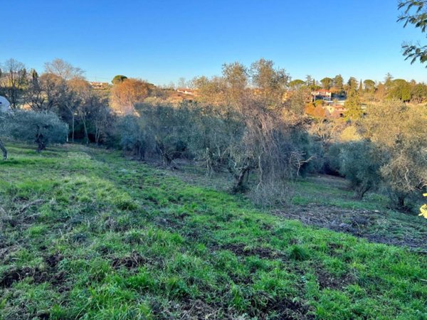 terreno agricolo in vendita a Morlupo