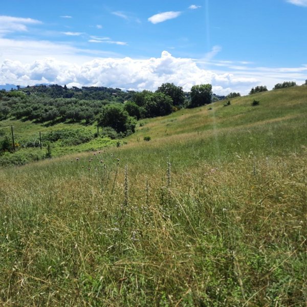 appartamento in vendita a Morlupo