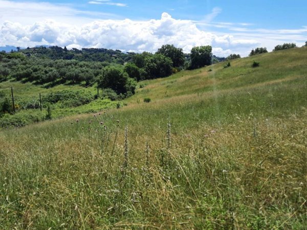 terreno agricolo in vendita a Morlupo