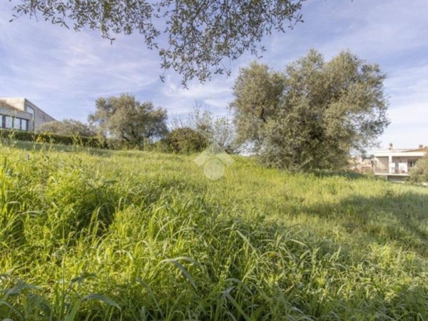 terreno edificabile in vendita a Morlupo