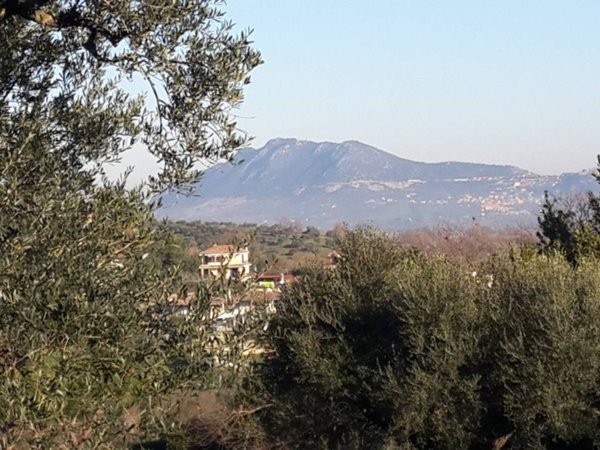 terreno agricolo in vendita a Morlupo