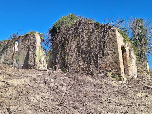 terreno agricolo in vendita a Morlupo