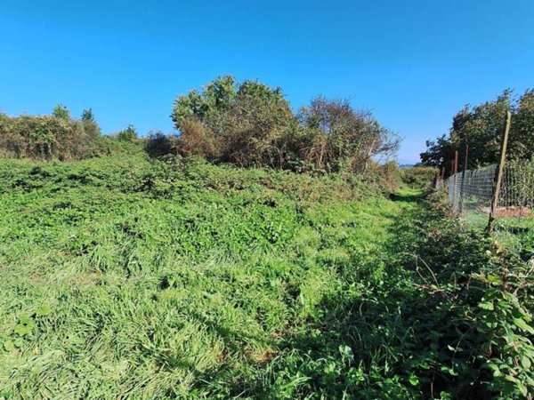 terreno agricolo in vendita a Morlupo