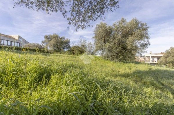 terreno edificabile in vendita a Morlupo