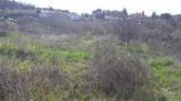 terreno edificabile in vendita a Morlupo