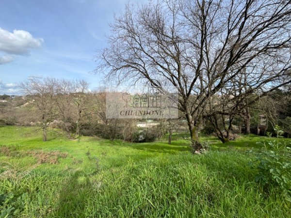 casa indipendente in vendita a Morlupo