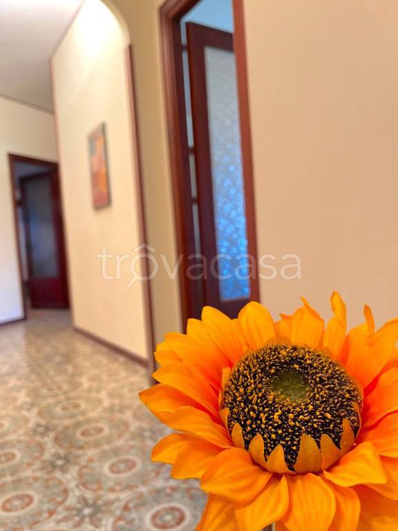 appartamento in vendita a Morlupo