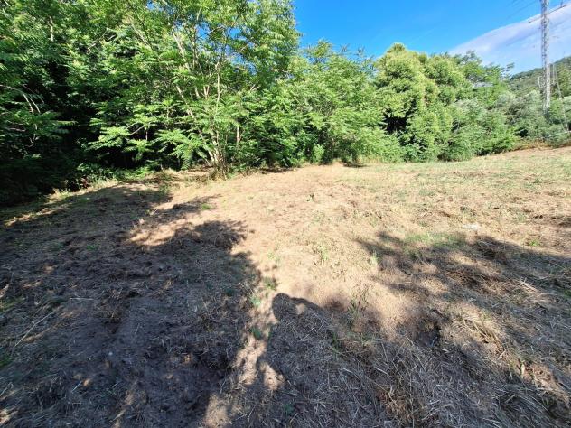 terreno agricolo in vendita a Morlupo