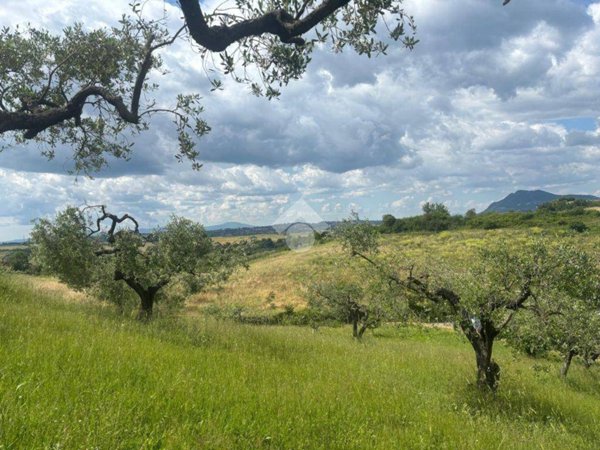 casa indipendente in vendita a Morlupo