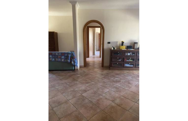 appartamento in vendita a Morlupo