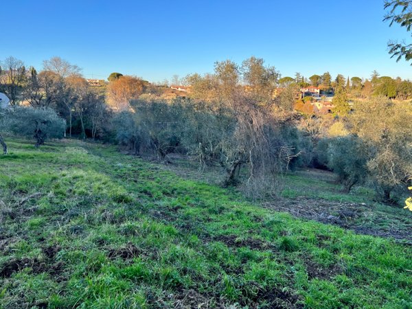 terreno agricolo in vendita a Morlupo