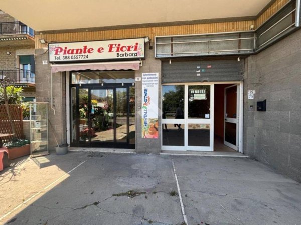 appartamento in vendita a Morlupo