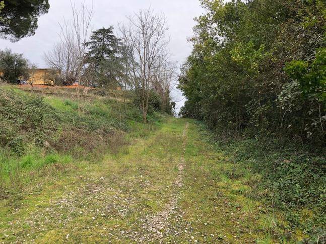 terreno edificabile in vendita a Morlupo