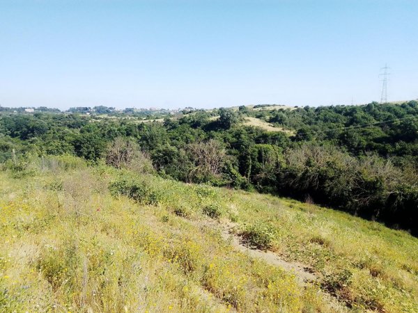 terreno agricolo in vendita a Morlupo