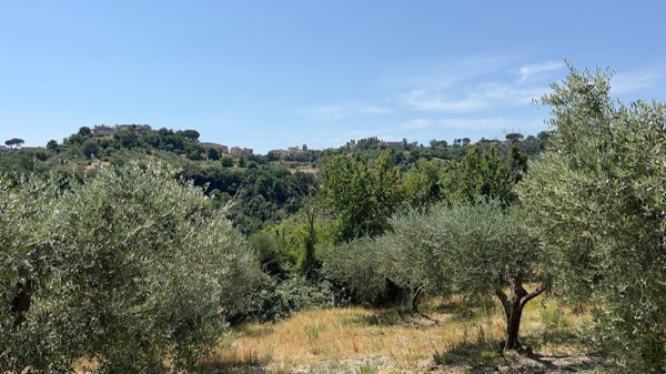 terreno agricolo in vendita a Morlupo