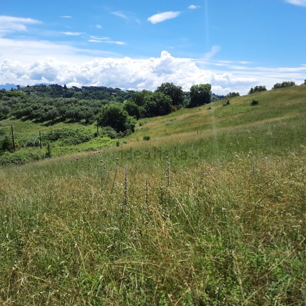 terreno agricolo in vendita a Morlupo