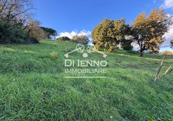 terreno agricolo in vendita a Morlupo