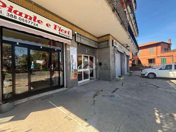 immagine annuncio 0 di 1