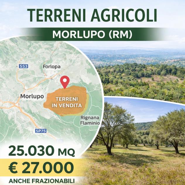 terreno agricolo in vendita a Morlupo