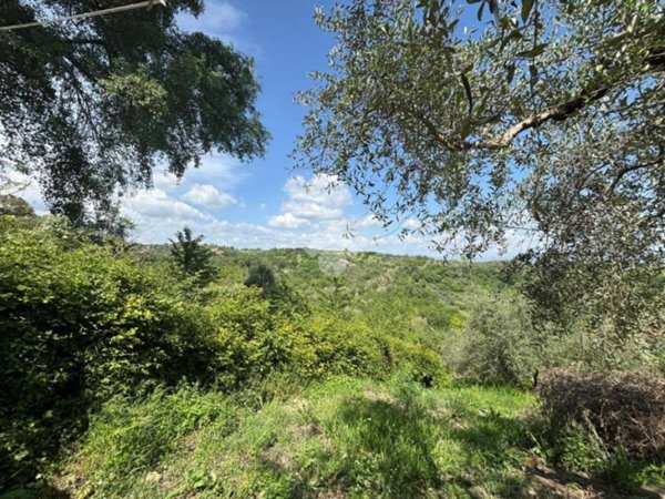 terreno edificabile in vendita a Morlupo