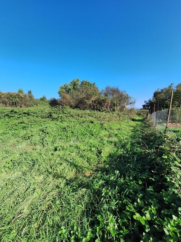 appartamento in vendita a Morlupo