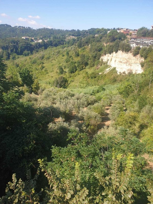 terreno agricolo in vendita a Morlupo