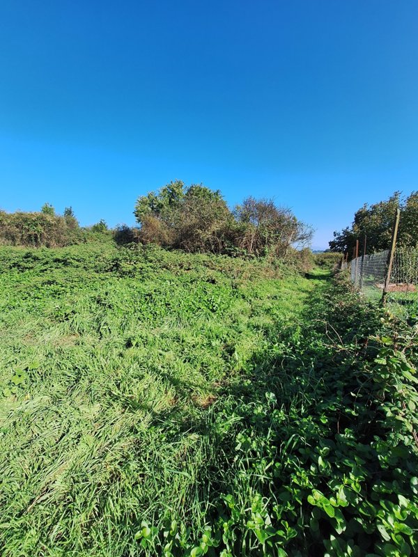 terreno agricolo in vendita a Morlupo