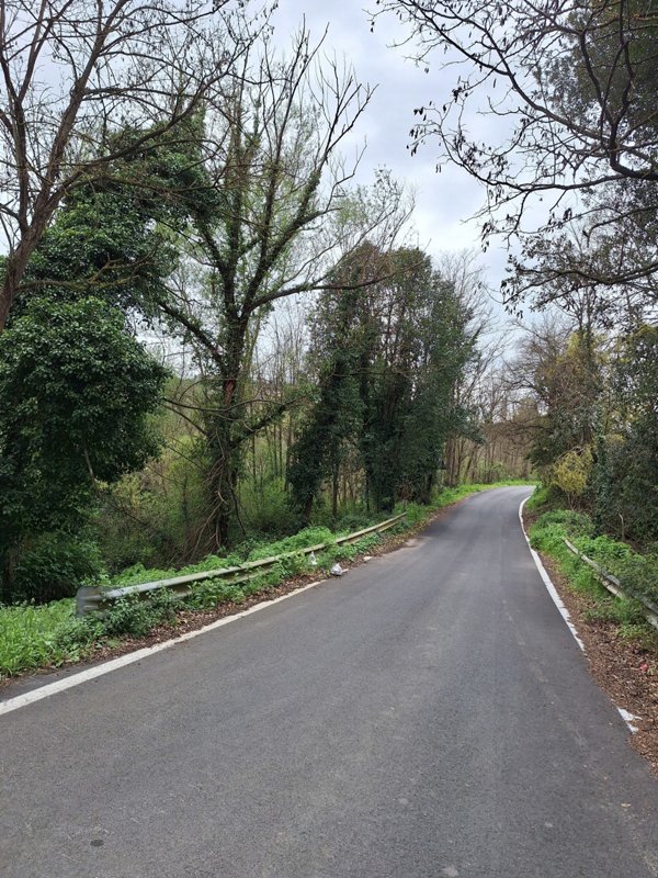 terreno agricolo in vendita a Morlupo