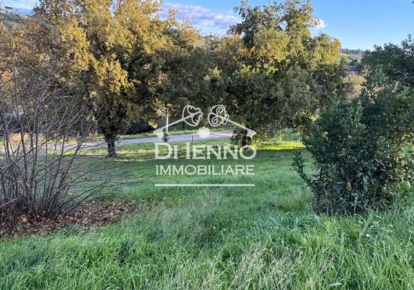 terreno agricolo in vendita a Morlupo