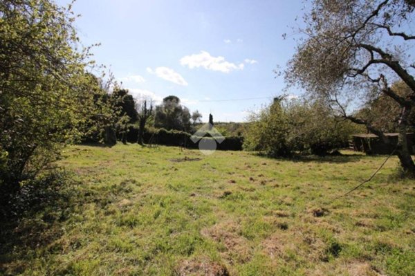 terreno agricolo in vendita a Morlupo
