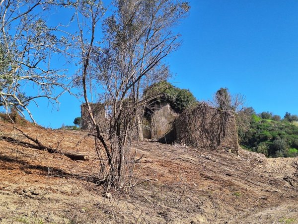 casa indipendente in vendita a Morlupo