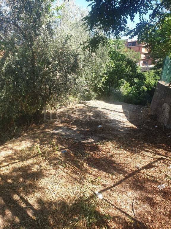 terreno agricolo in vendita a Morlupo