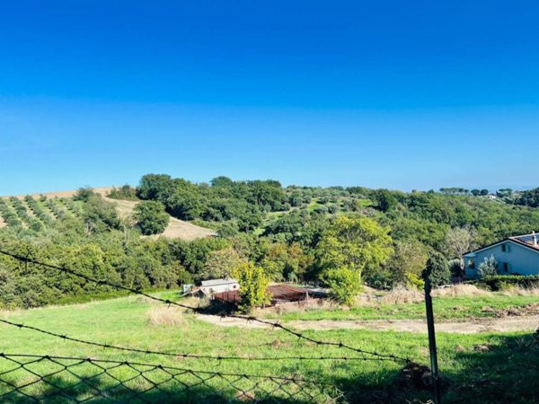 terreno agricolo in vendita a Morlupo