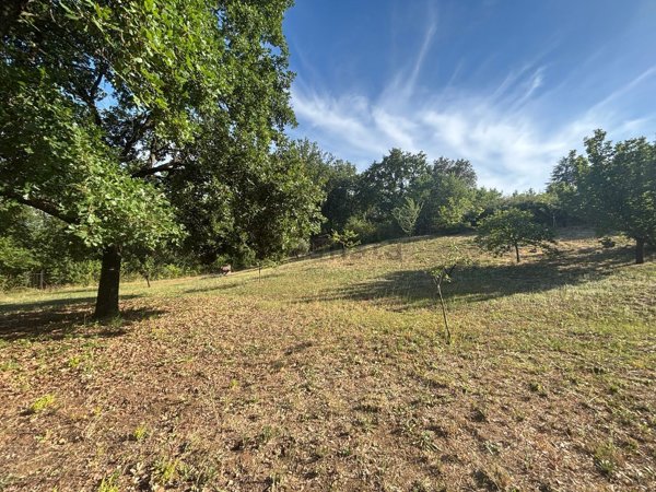 terreno agricolo in vendita a Morlupo