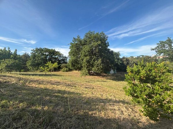 terreno agricolo in vendita a Morlupo