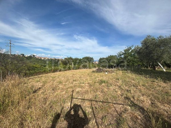 terreno agricolo in vendita a Morlupo