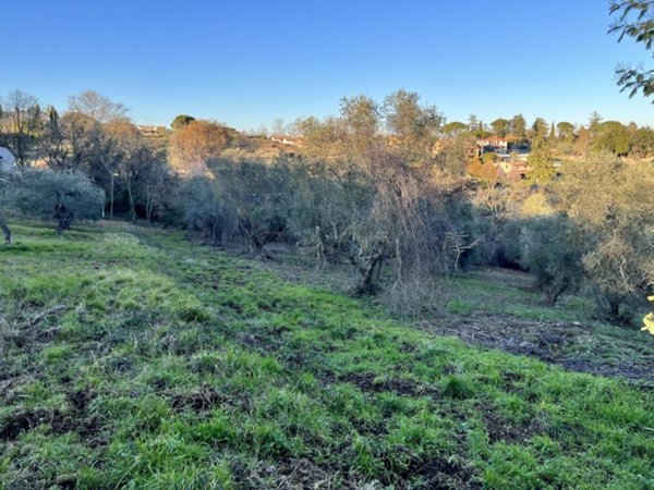 terreno agricolo in vendita a Morlupo