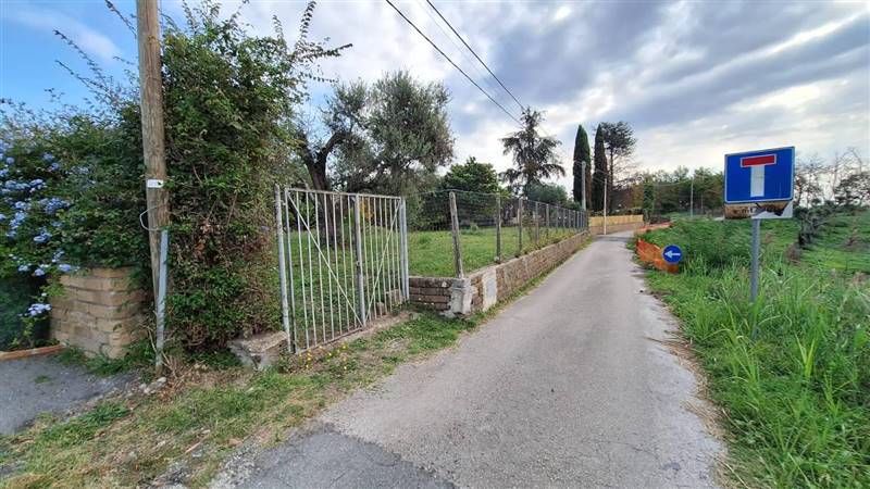 terreno agricolo in vendita a Morlupo