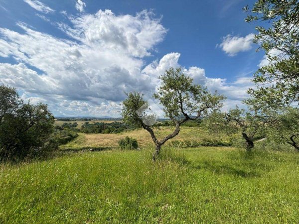terreno agricolo in vendita a Morlupo