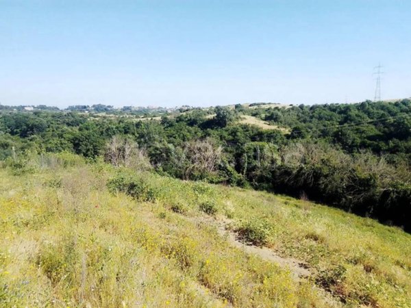 terreno agricolo in vendita a Morlupo
